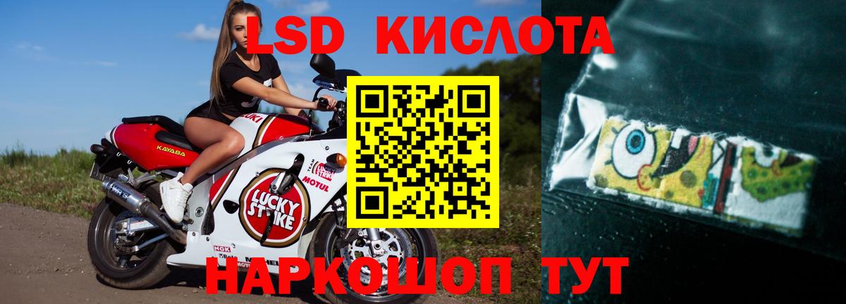 Майкоп  LSD-25 экстази кислота  OMG как зайти  Лсд 25 экстази ecstasy  Вход с VPN 