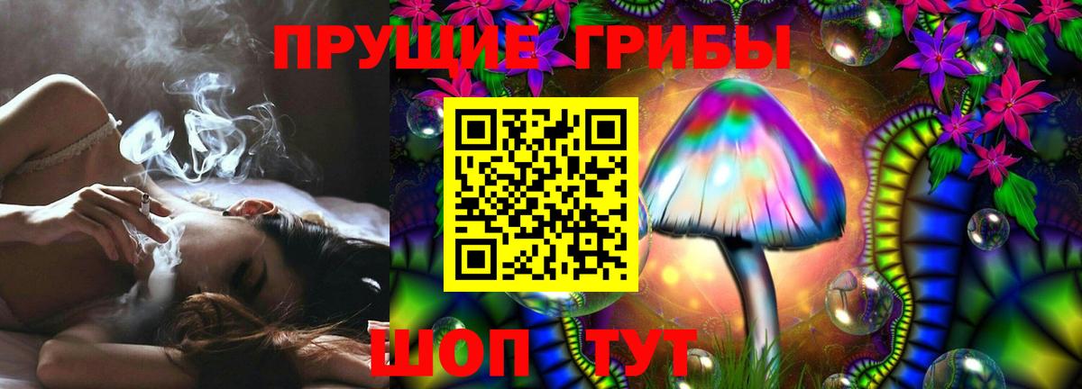 Майкоп  сколько стоит  Вход с VPN  Галлюциногенные грибы прущие грибы 
