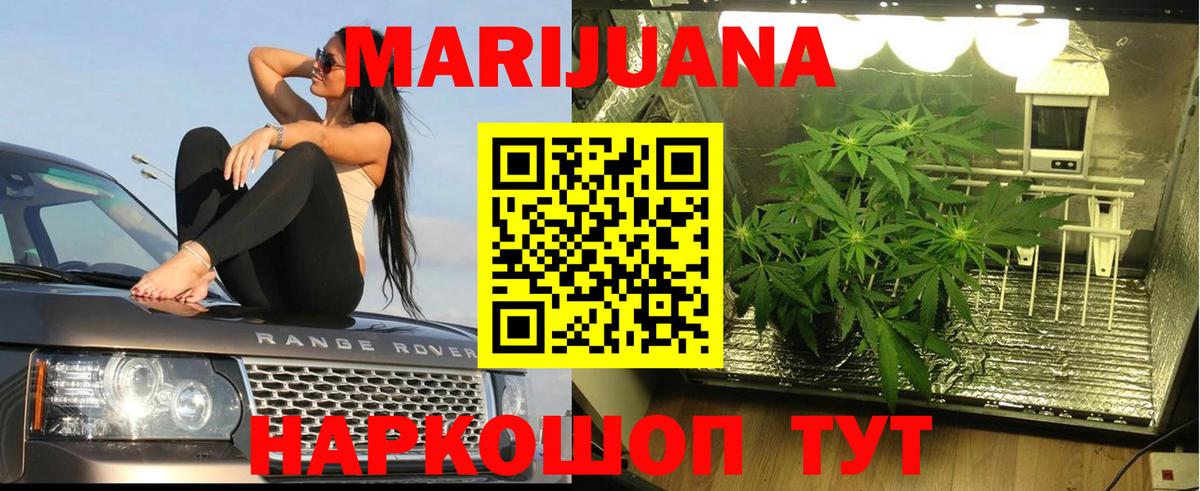 Канабис ГИДРОПОН  Бошки марихуана White Widow  Шишки марихуана план  Майкоп  Вход с VPN 
